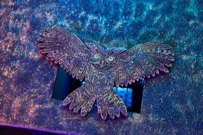 Fancy Owl on Friday night 